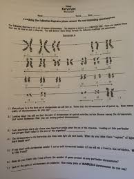 Karyotyping is the process by which photographs of chromosomes are taken in order to determine the chromosome complement of an individual, including the number of chromosomes and any abnormalities. Solved Blology Karyotype Worksheet Name Period Date Chegg Com