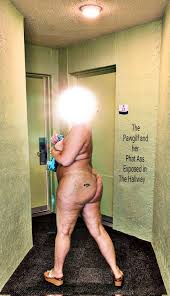 The Pawggilf on X: And when you have a phat gilf ass and it makes your  pussy sticky when it gets exposed 💦💋♠️ t.coTpVXI6Jp8S  X