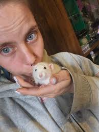 Repurposing clothing for rat hammocks