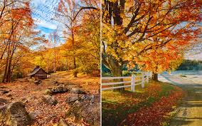 The Only Map You Need To Plan A Perfect Fall Foliage Trip