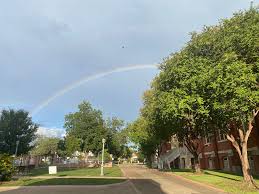 Fall 2024 The View Newsletter