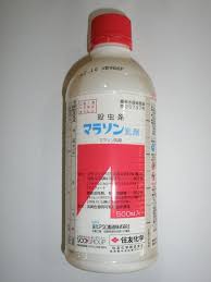 安全性 ： 製品安全データシート （日本農薬（株）へのリンク） : ãƒžãƒ©ã‚½ãƒ³ä¹³å‰¤ ï¼•ï¼ï¼ï½ï½Œã®é€šè²© ãƒ­ã‚¤ãƒ¤ãƒ«ãƒ›ãƒ¼ãƒ ã‚»ãƒ³ã‚¿ãƒ¼å…¬å¼ãƒ­ã‚¤ãƒ¢ãƒ¼ãƒ«