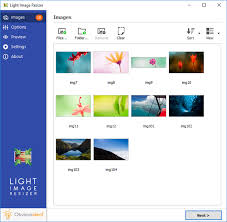 Light Image Resizer For Pc Windows 10 Download Latest Version 2020