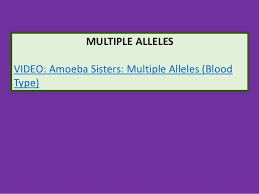 Join the amoeba sisters as they discuss the terms gene and allele in context of a gene involved in ptc (phenylthiocarbamide). Gene Expression 1 Genetics Notes