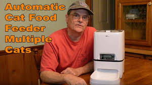 Your kitty will always be fed on time with an automatic cat food dispenser. Automatic Cat Feeder Multiple Cats Build Your Own Divider Youtube