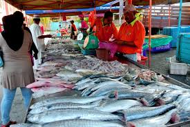 3,726 likes · 17 talking about this · 19,313 were here. Two Shah Alam Wet Markets Taken Over By Foreigners Residents Claim Coconuts Kl