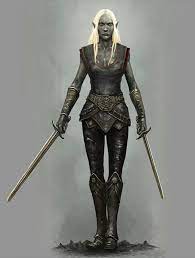 Drow Female Warrior Dark Elf Character Portraits Elf Ranger
