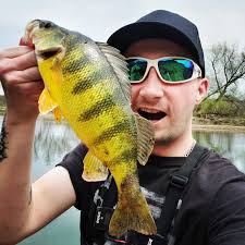 Large perch caught in Alberta lake