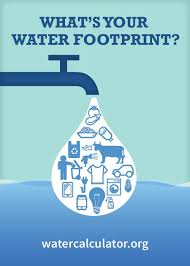 Lessons For Understanding Our Water Footprint Earth Science Lesson Plans Earth Science Lessons Water Footprint