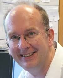 Carbon fibre based electrodes for structural batteries