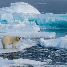 Melting Arctic ice