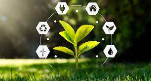 Imagem de painel solar para sustentabilidade