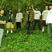 Collie herb man by katchafire as performed by 1drop east. Sweet Sensi Dub Lyrics Chords By Fortunate Youth