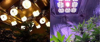 The best small grow light 2018 we have tested a range of small grow light systems to determine what is the most efficient, what has the best spectrum and how much they cost to buy and run. Led Grow Lights T5 Led Grow Light T8 Led Grow Light Grow Lighting Bulb