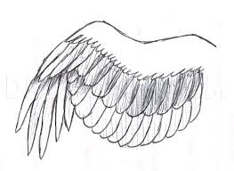 Draw a simple cartoon feather. How To Draw A Simple Bird Wing Step By Step Drawing Guide By Phoenixcelestius Dragoart Com