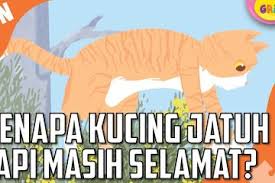 By anggaposted on november 28, 2020. Rahasia Kucing Tetap Selamat Walau Jatuh Dari Ketinggian Disebut Punya 9 Nyawa Kids