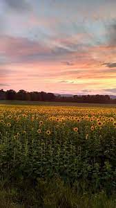 Love My Country View Upstate Ny Nature Aesthetic Nature Photography Sky Aesthetic