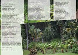 Image result for Pyrostria bibracteata