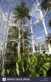 In den botanischen gärten bonn werden über 10.000 pflanzenarten kultiviert. Botanischer Garten Londons Stockfotos Und Bilder Kaufen Alamy