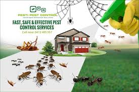 Call or purchase/schedule online today! How To Select The Best Pest Exterminator Pesti Pest Control Perth