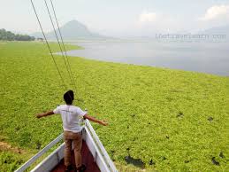Harga tiket masuk waduk jatiluhur. Sehari Di Purwakarta Waduk Jatiluhur Stasiun Kopi Dan Air Mancur Situ Buleud Taman Sri Baduga The Travelearn