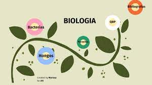 …tutulado con experiencia en clinicos, interesdos marcar a el numero 014433174415 o acudir con… Quimico Bacteriologo Parasitologo By Martha Rodriguez