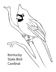For boys and girls, kids and adults, teenagers and toddlers, preschoolers and older kids at school. Coloring Pages Cardinal Bird Coloring Pages For Kids Coloring Home