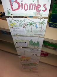 science biome chart another way that students can make a