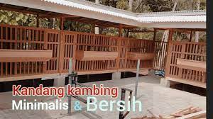 Kandang kambing umum disebut dengan goat pen atau goat stable. Kandang Kambing Minimalis Dan Bersih Hitamputih Farm Kandang Sni Youtube