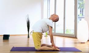 You look down at your camel and it's turned into an ostrich (ostr sounds a. How To Build A Sequence Around Camel Pose Doyou