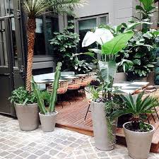 Jardin D Hiver De Montorgueil Winter Garden Sinople Klay Restaurant Chef Breakfast Lunch Dinner Brunch Yummy Jardindhiver W Jardin D Hiver Hiver