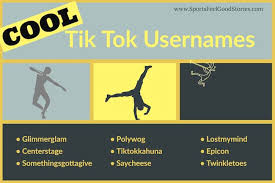 I have now sold cool name ideas to web hosting geeks. 235 Tiktok Username Ideas To Brand Yourself Effectively With Style