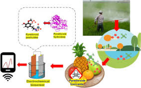 Image result for Pyrethroid