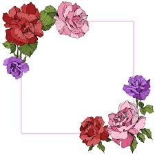 Maybe you would like to learn more about one of these? Vector Rose Flowers Floral Square On White Background Red Purple And Pink Roses Engraved Ink Art Free Stock Vector Graphic Image