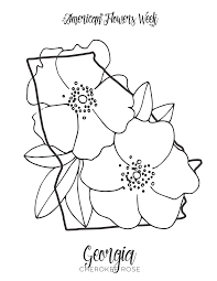Flower in cartoon style, coloring page, spring education paper game for the development of children, kids preschool activity, printable worksheet, vector illustration. 50 State Flowers Free Coloring Pages American Flowers Week