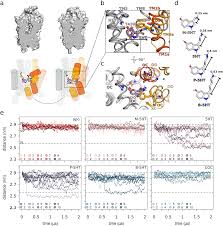 Ligand coupling mechanism of the human serotonin transporter differentiates  substrates from inhibitors | Nature Communications
