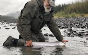 Guilty Pleasure: Robert Meiser builds 'em stiff in the tip with junk in the  trunk.