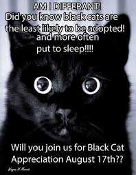 Pin By Jamie Larch Robinson On To Give Unto Others Black Cat Appreciation Day Black Cats Rock Cats