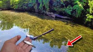 This channel is all about fishing! Yusoazhst60rtm