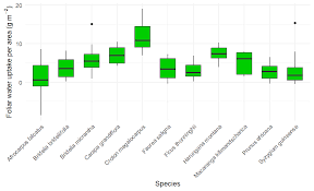 Image result for Bridelia brideliifolia
