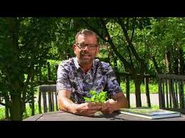 Orf Sendung Natur Im Garten Vom 02 August 2020 Youtube In 2020 Naturgarten Youtube Sendung