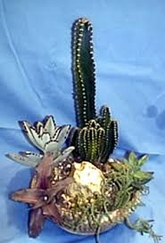 Mine isn't perfect but it works. Dish Gardens