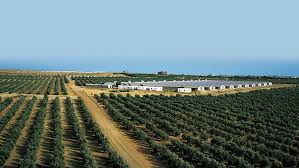 1 agriculture training companie from malaysia. Top Agriculture Agribusiness Companies In Egypt
