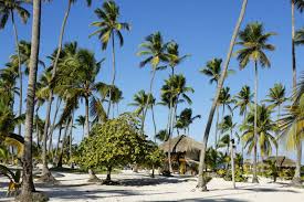 Cel mai ieftin pachet turistic a costat atunci 79 de euro de persoană. Oferte Republica Dominicana 2021 Vacante Republica Dominicana Aerocenter