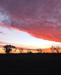 Adam MacVean (@blkadda) • Instagram photos and videos