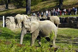 Below are links to container images and precompiled binaries built for aarch64 (arm64). Ze Zoo Zpatky Do Prirody Rozhovor S Romanem Horskym Reditelem Zoo Zlin 100 1 Zahranicni Zajimavost