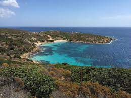 Because of its historical isolation, asinara has been preserved. Asinara National Park Wikipedia