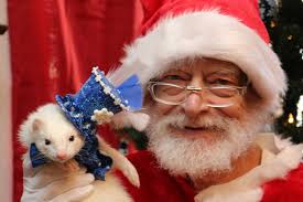 Paulette Honigbaum & Nyree brought Gimbly, Harper, Milo & McClaine. We LOVE  these ferrets and our friends even more ♥ Photos By: Vondelle McLaughlin