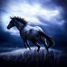 Horse wallpaper, it is incredibly beautiful and stylish wallpaper for your android device! Free Horse Wallpaper For Mobile Phones Google Search Horse Wallpaper Free Horses Beautiful Horses