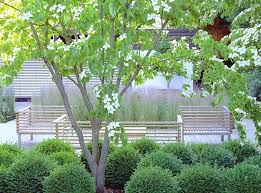 Cornus Kousa Chinensis Garden By Ann Pearce English Country Gardens Modern Garden Garden